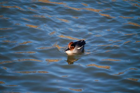ウクライナに平和を！！
