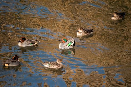 ウクライナに平和を！！