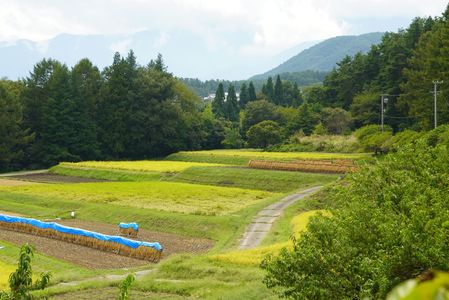 秋風景