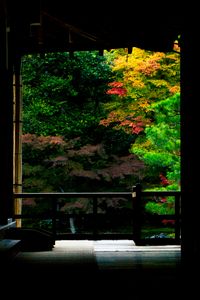 フライングな紅葉の嵐山　天龍寺