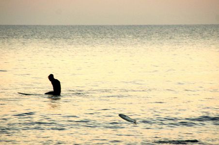 サーファーのいる海、跳ねる魚