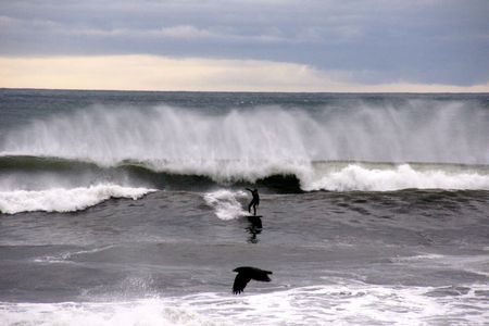 大波とサーファー＠辻堂海岸