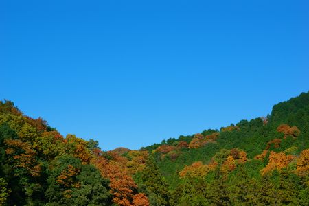 殺風景だけど、スカッと爽快に。