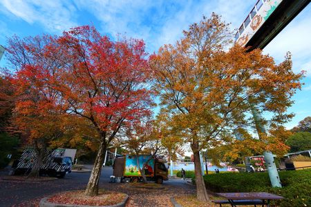 キッチンカーと紅葉