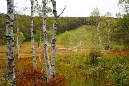 入笠湿原の紅葉、そして入笠山山頂へ