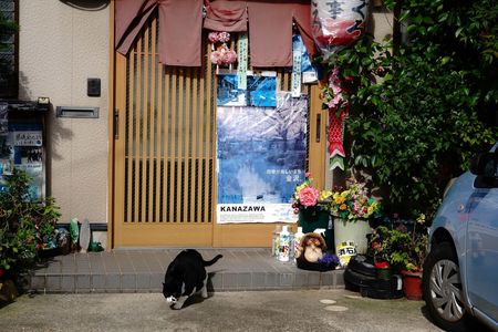 予約でお願いします。