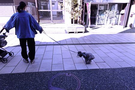 そろそろ生まれそうなんですが