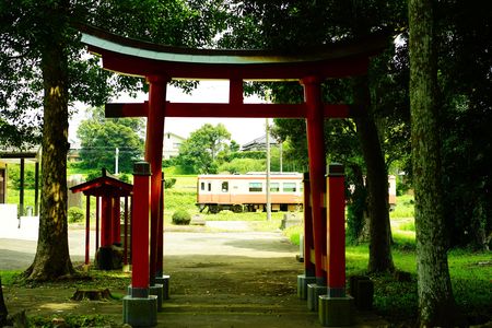 鳥居の中に