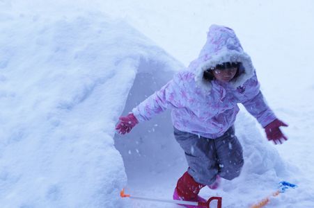 雪んこ。