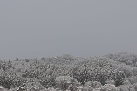 一晩で紅葉は白銀へ