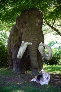 マンモスとツーショット