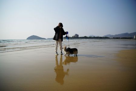 父母ヶ浜に行ってきたよ