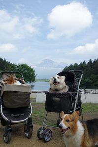 三兄弟で写真を撮った