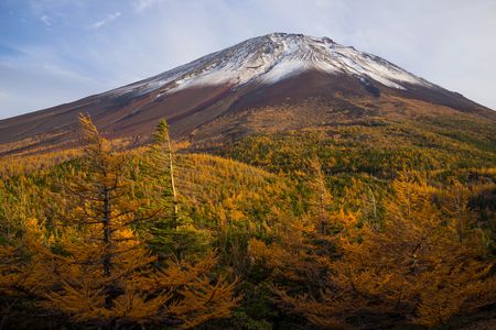 富士山の紅（黄）葉