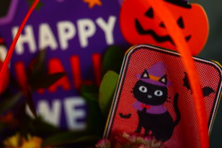 一日遅れのハッピーハロウィン