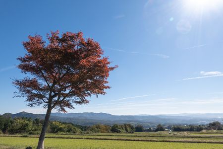 秋の那岐山