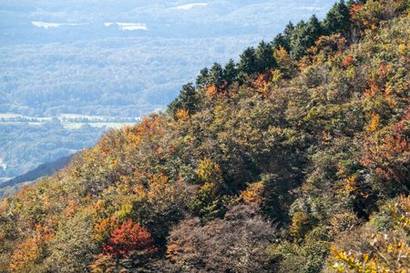 蒜山（ひるぜん）