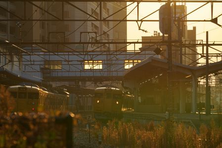 黄昏のYellow列車