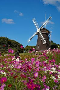風車の丘にでかけてみた