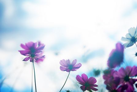 もはや晩秋か⁈