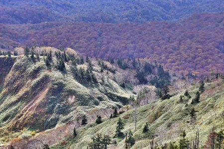 秋の八幡平