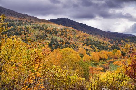 八幡平岩手側の紅葉