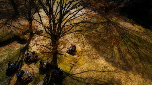 陽だまりのテーブル