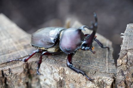 赤城山と榛名山の夏