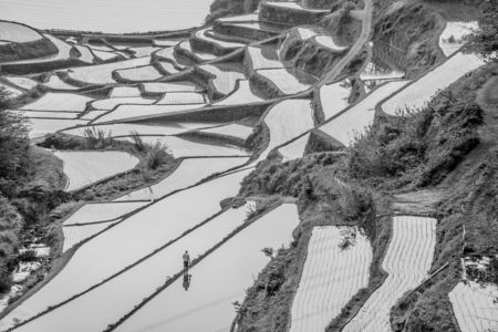 浜野浦の棚田