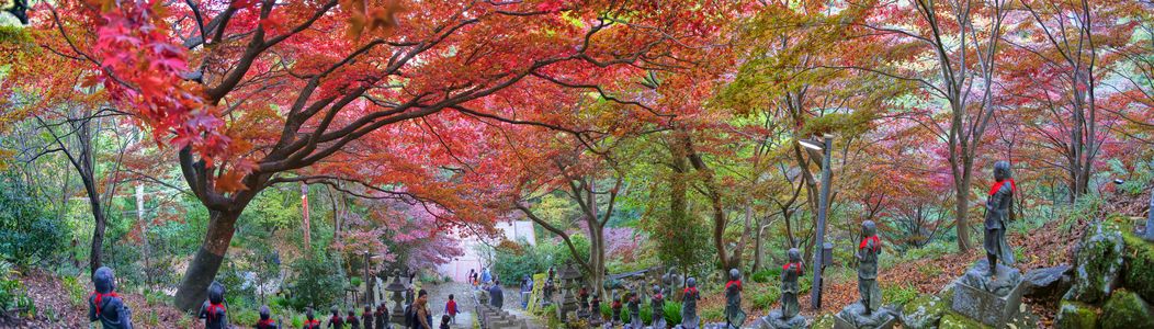 大山寺パノラマ
