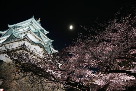 名城　夜桜　月明かり