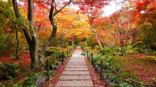 京都　宝筐院