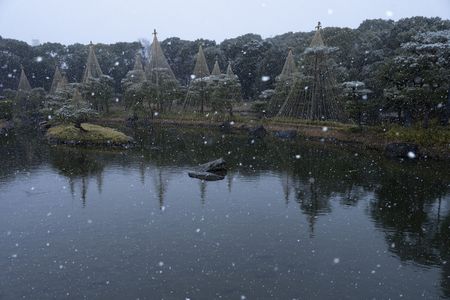 雪の白鳥庭園（名古屋）