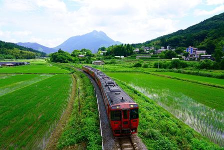 初夏の由布岳と特急ゆふ