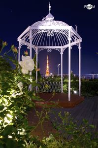 Tokyo tower with white rose