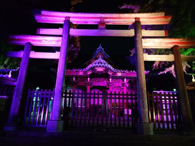 隅田川夜散歩 3