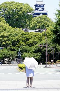 見上げれば熊本城