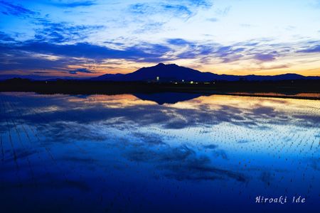 Japanese rice field reflection
