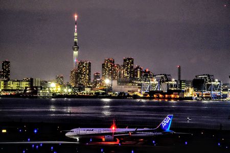 Tokyo night view ANA
