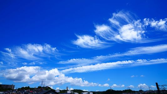 お布団干しの手を休め