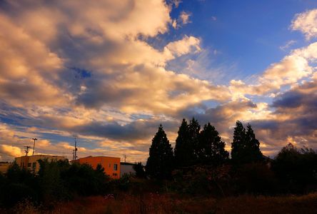 庭先の雲 晩秋