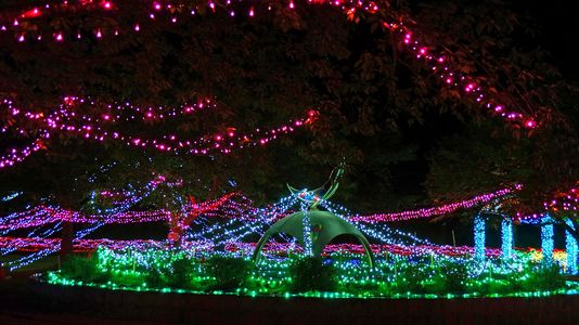 真夏の夜を彩る2