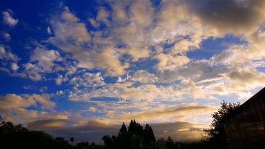 庭先の雲 初秋