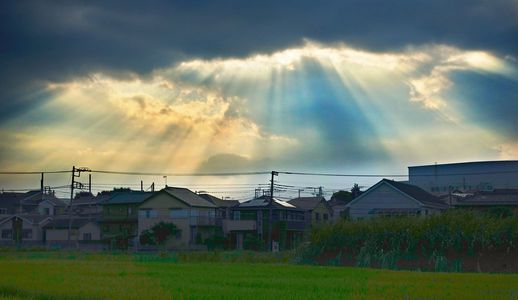 朝の画集　8/18