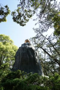 幸魂・奇魂（さきみたま・くしみたま）