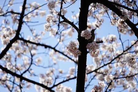 どこ行こうかな？