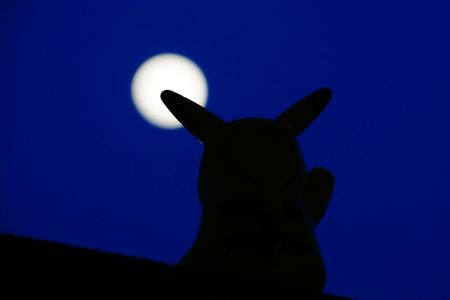 明日は満月見えるかな!?