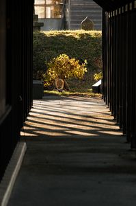 光のカーペットへ・・・