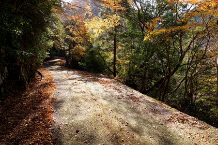 晩秋の日差し③