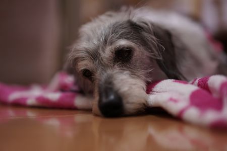 おねむのPOKKE～NO2